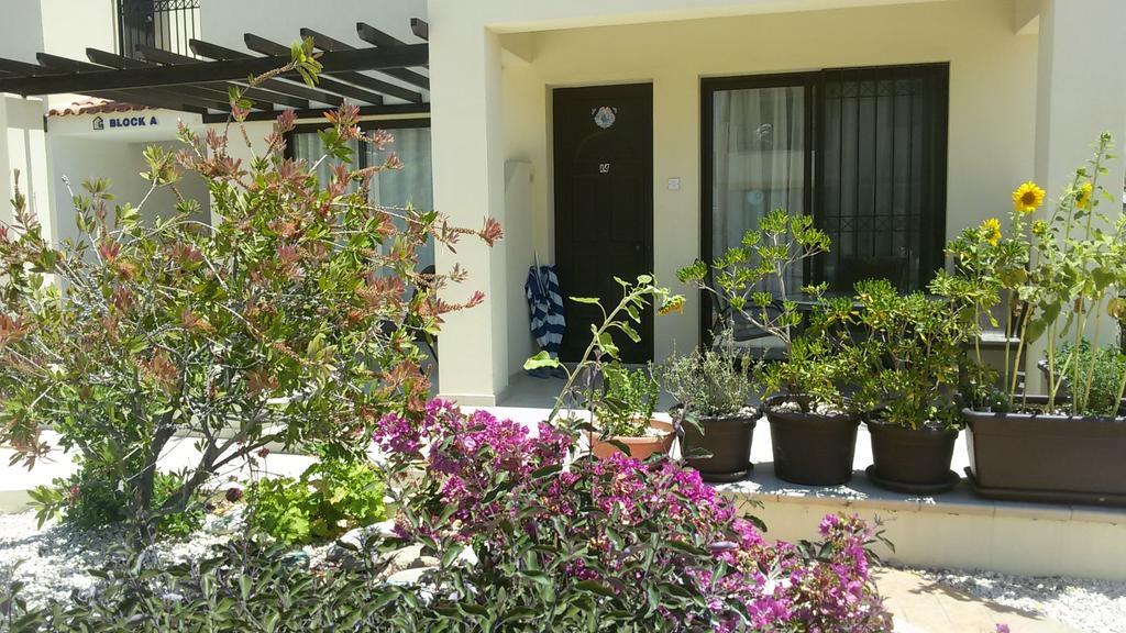 Apartament Faros